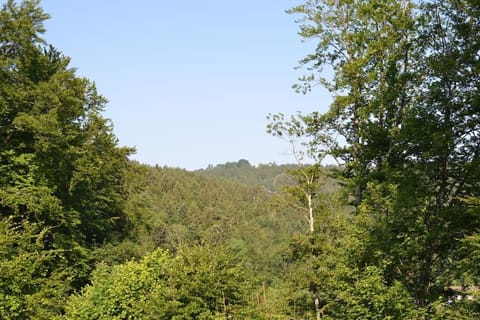 AlpenGlück – **** Ferienwohnung Apartment in Ruhpolding