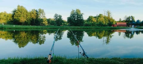 DOLINA NAD MOŁSTOWĄ Campground/ 
RV Resort in West Pomeranian Voivodeship, Poland