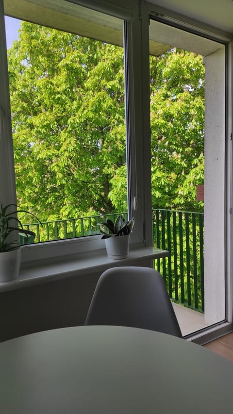 Apartament Mazury Apartment in Lithuania