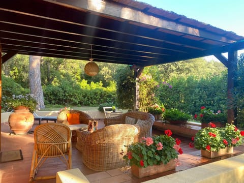 Patio, Garden, Living room