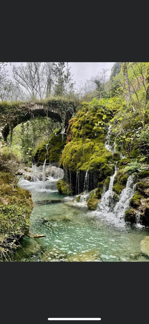 B&B Villa Rachele Bed and Breakfast in Basilicata