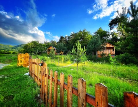Natural landscape