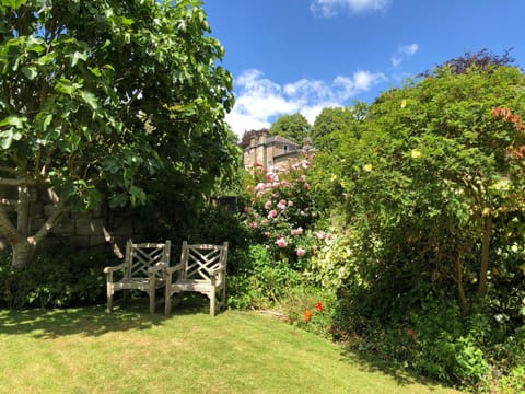 Garden, Garden view, Garden view