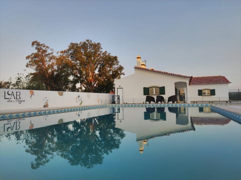 Day, Pool view, Swimming pool
