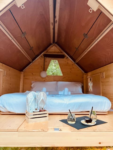 Bed, Living room, Photo of the whole room, Bedroom