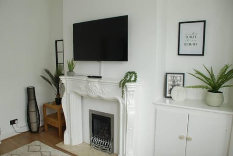 TV and multimedia, flat iron