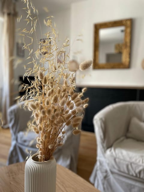 Le Cosy Apartment in Blois