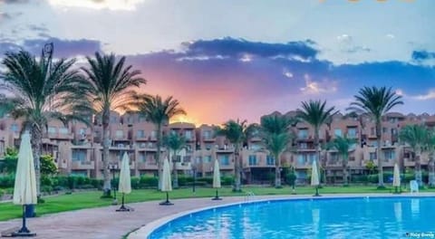 Natural landscape, Garden, Swimming pool, Sunset