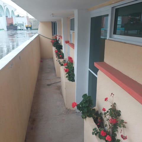 Eva's paradise Hotel in State of Puebla