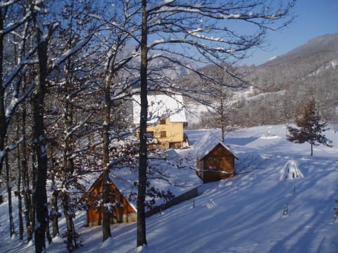 Guest House Tara Canyon Bed and Breakfast in Zlatibor District, Serbia