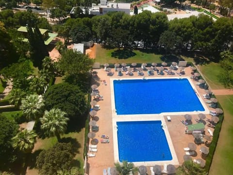Bird's eye view, Swimming pool, Swimming pool, sunbed