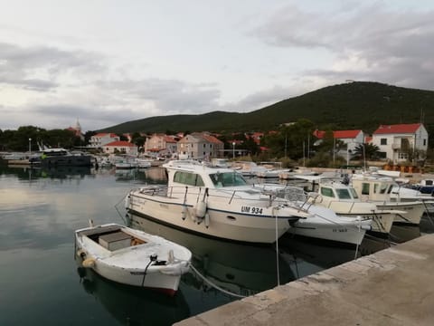 City view, Street view