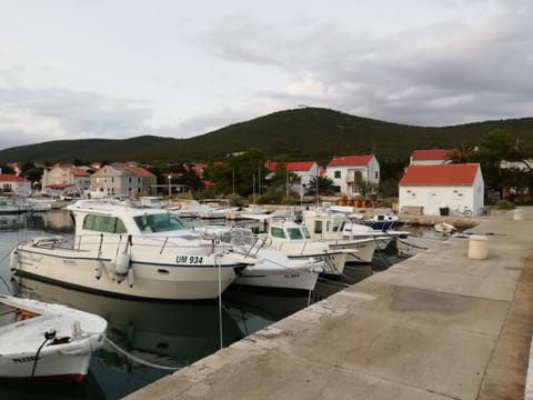 City view, Street view