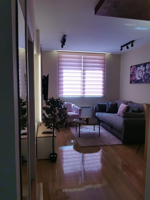 Apartmani Nedić Apartment in Zlatibor