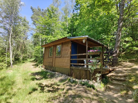 Mały Domeczek House in Pomeranian Voivodeship