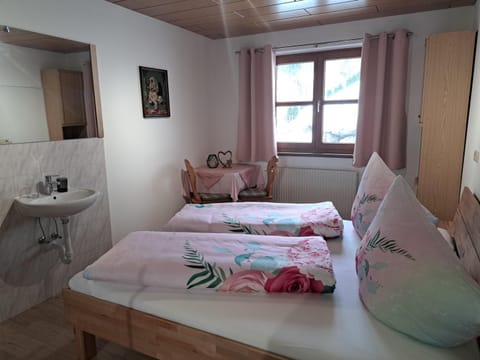 Ferienwohnung Irene Apartment in Vorarlberg, Austria