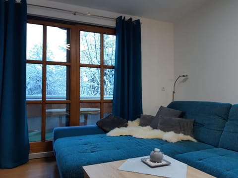 Ferienwohnung Irene Apartment in Vorarlberg, Austria