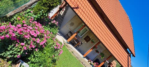 Rada smeštaj Apartment in Zlatibor District, Serbia