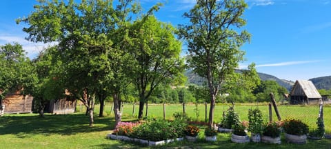 Rada smeštaj Apartment in Zlatibor District, Serbia