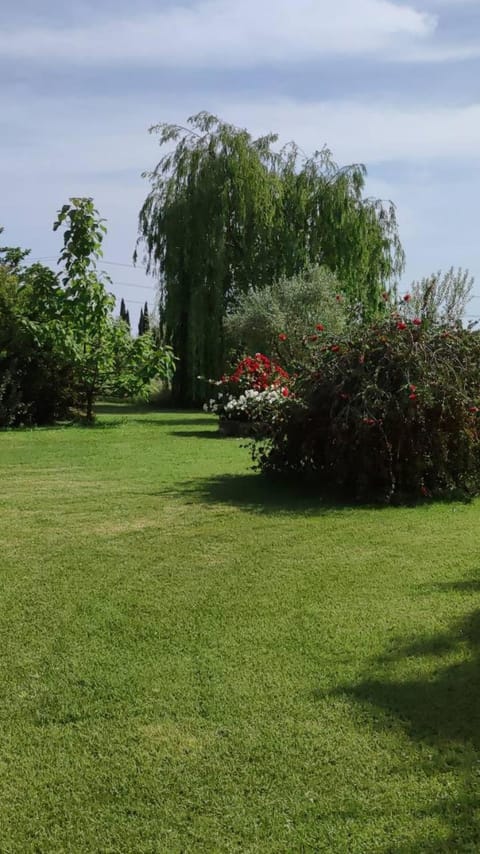 Agriturismo Sant Anna Quarter Horse Farm Stay in Tuscany