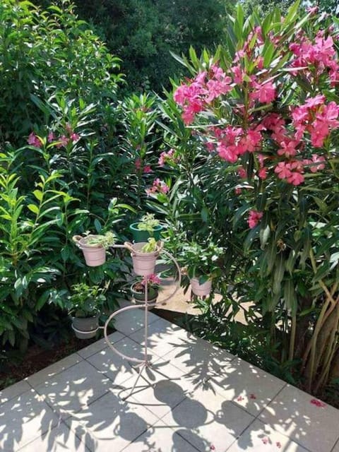 Whole house Ariela, 20m to the beach, has a barbecue, 2 terraces House in Šibenik