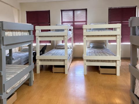 Bed, Photo of the whole room, Bedroom, bunk bed