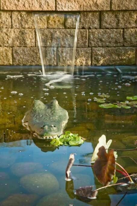 New Kid in Town - King Bed & Sofa Bed - Sleeps 2-4 Apartment in Madison Heights