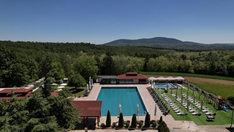 Garden, Pool view