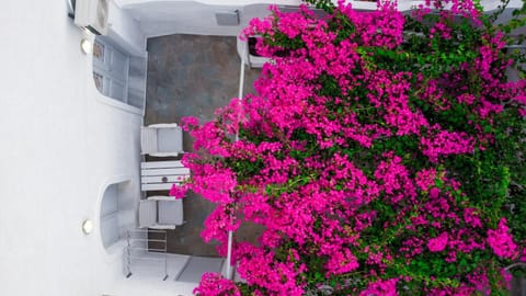 Spring, Day, Garden, Balcony/Terrace, Garden view