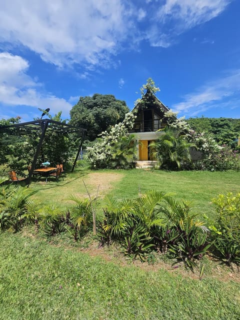 Spring, Day, Natural landscape, Garden, Garden view