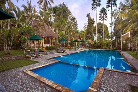 Swimming pool, Swimming pool