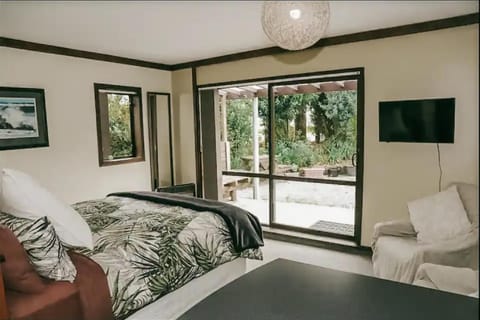 TV and multimedia, Bedroom, Garden view
