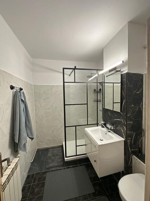 Shower, Toilet, Bathroom, towels