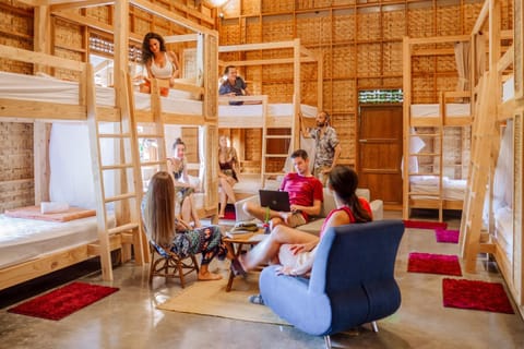 Bed, Living room, Photo of the whole room, Bedroom, group of guests, bunk bed