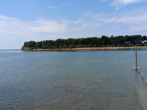 Apartments Ingrid Apartment in Novigrad