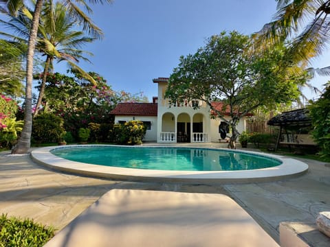 Garden, Pool view, Swimming pool