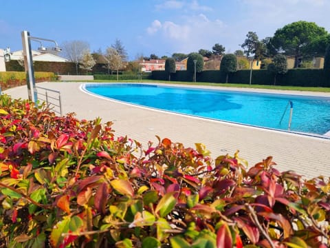 Day, Garden, Pool view, Swimming pool, Swimming pool