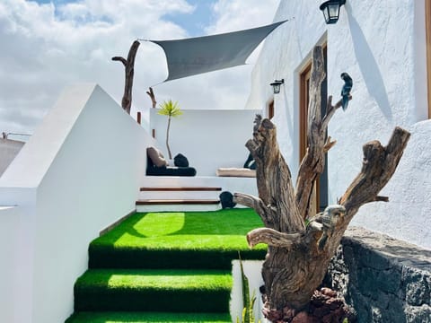 Patio, Balcony/Terrace, sunbed