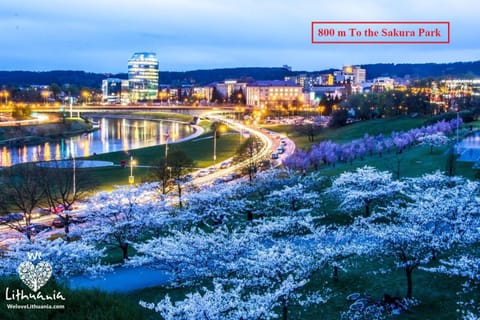 Nordic Studio In Prime Vilnius Location Apartment in Vilnius