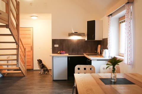 Kitchen or kitchenette, Photo of the whole room, Dining area, Pets