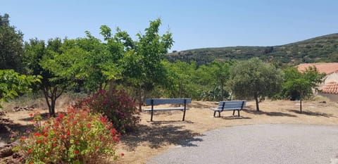 Hiking, Mountain view