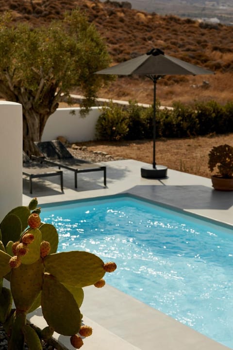 Day, Natural landscape, Pool view, Swimming pool, sunbed