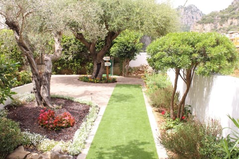 Garden, Mountain view, Mountain view