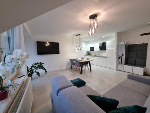 TV and multimedia, Kitchen or kitchenette, Living room, Seating area, Dining area, minibar