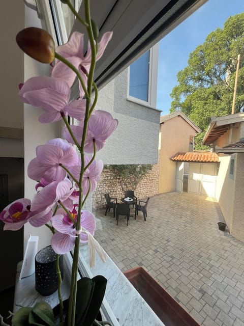Property building, Inner courtyard view