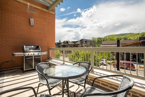 Sprawling Condo - Central Downtown - Summer AC House in Steamboat Springs