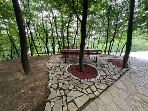 Woodrock Villa Villa in Federation of Bosnia and Herzegovina