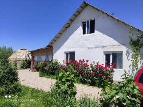 Property building, Garden, Garden view