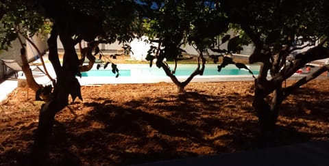 Garden, Pool view