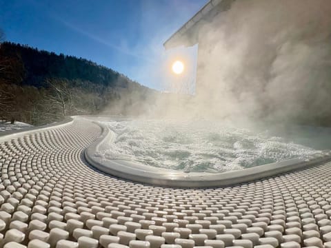 Domaine des oiseaux House in Gérardmer